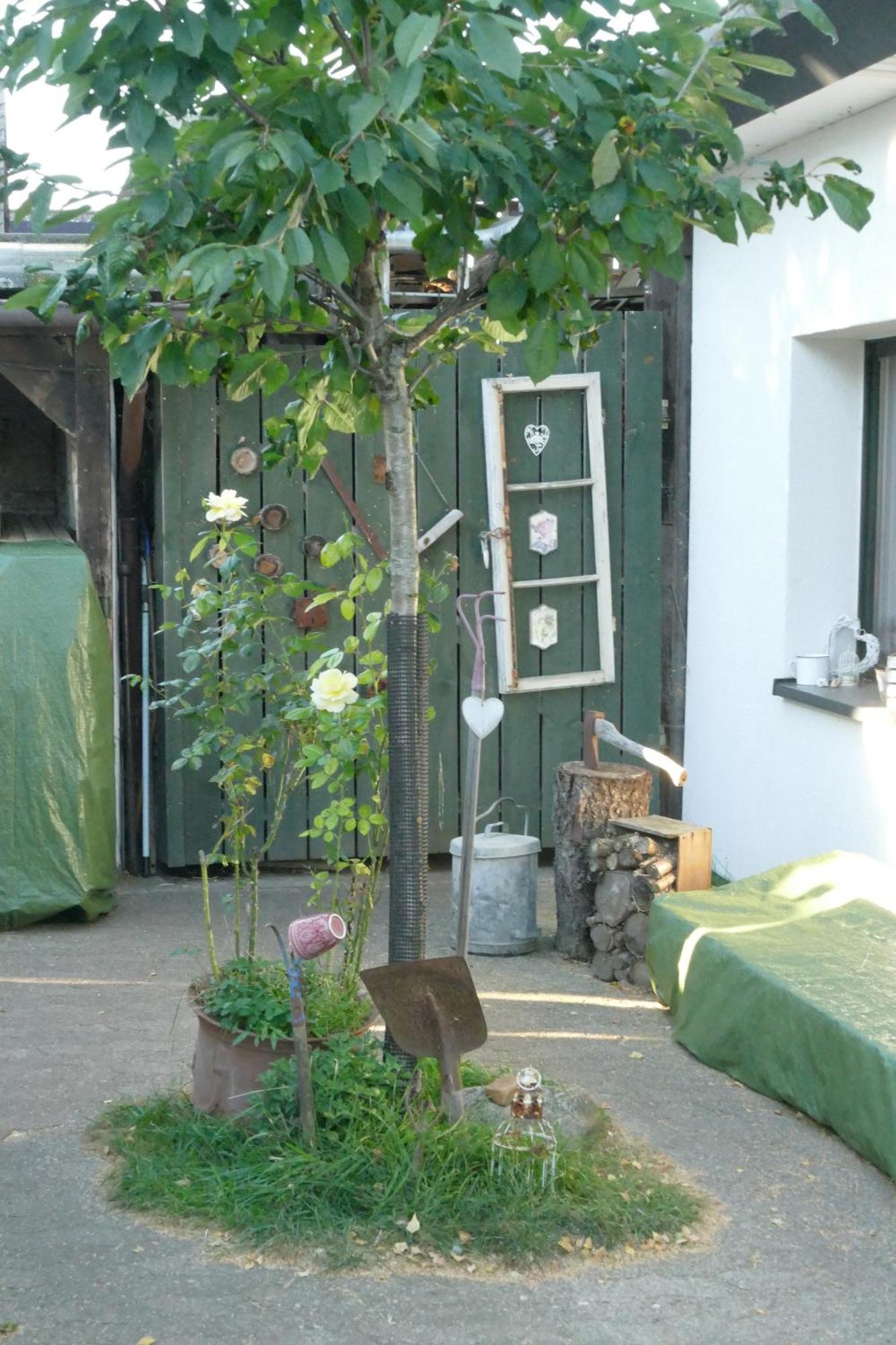Ferienhaus Mit Minibauernhof Munster im Heidekreis Bagian luar foto