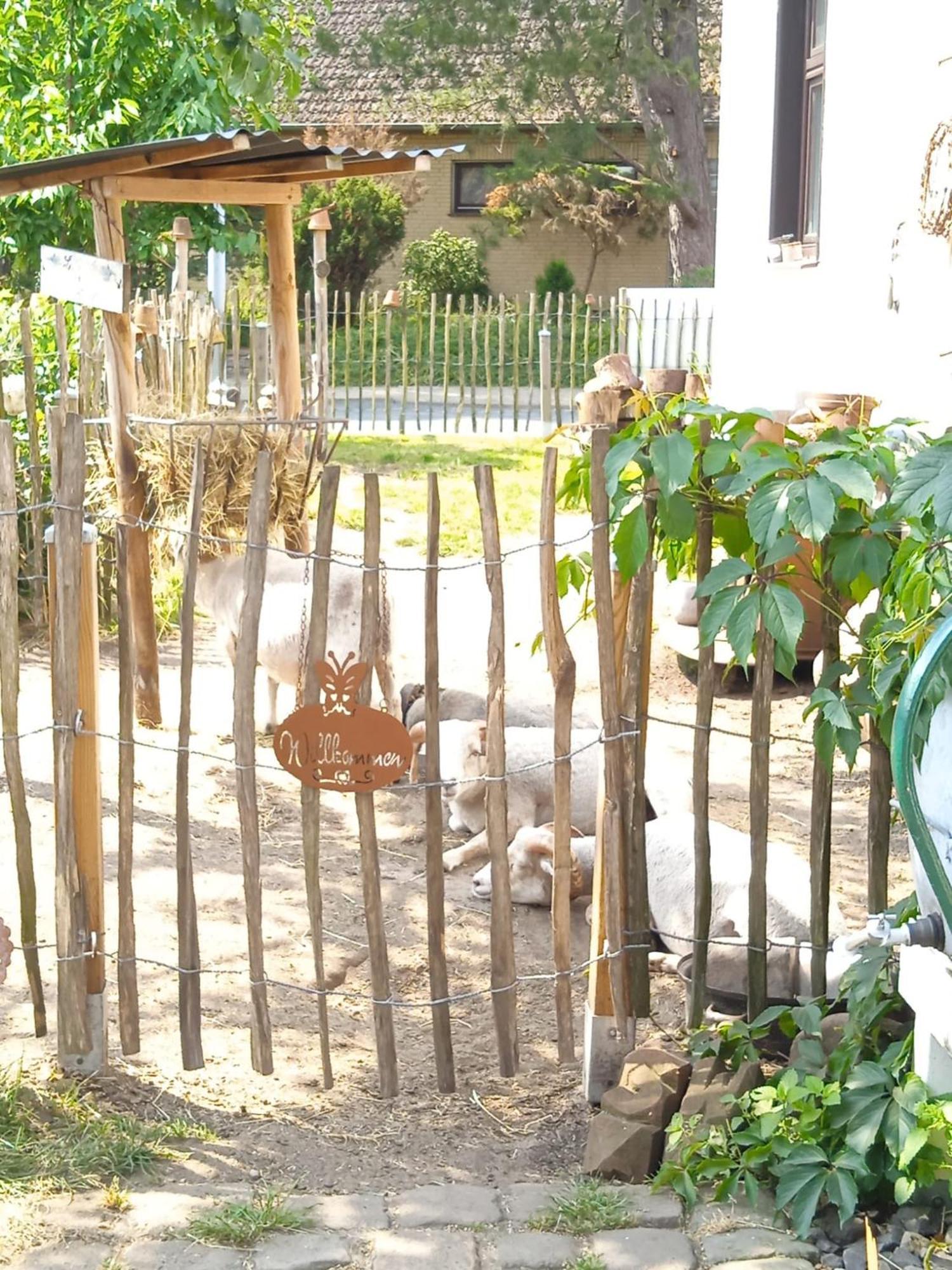 Ferienhaus Mit Minibauernhof Munster im Heidekreis Bagian luar foto